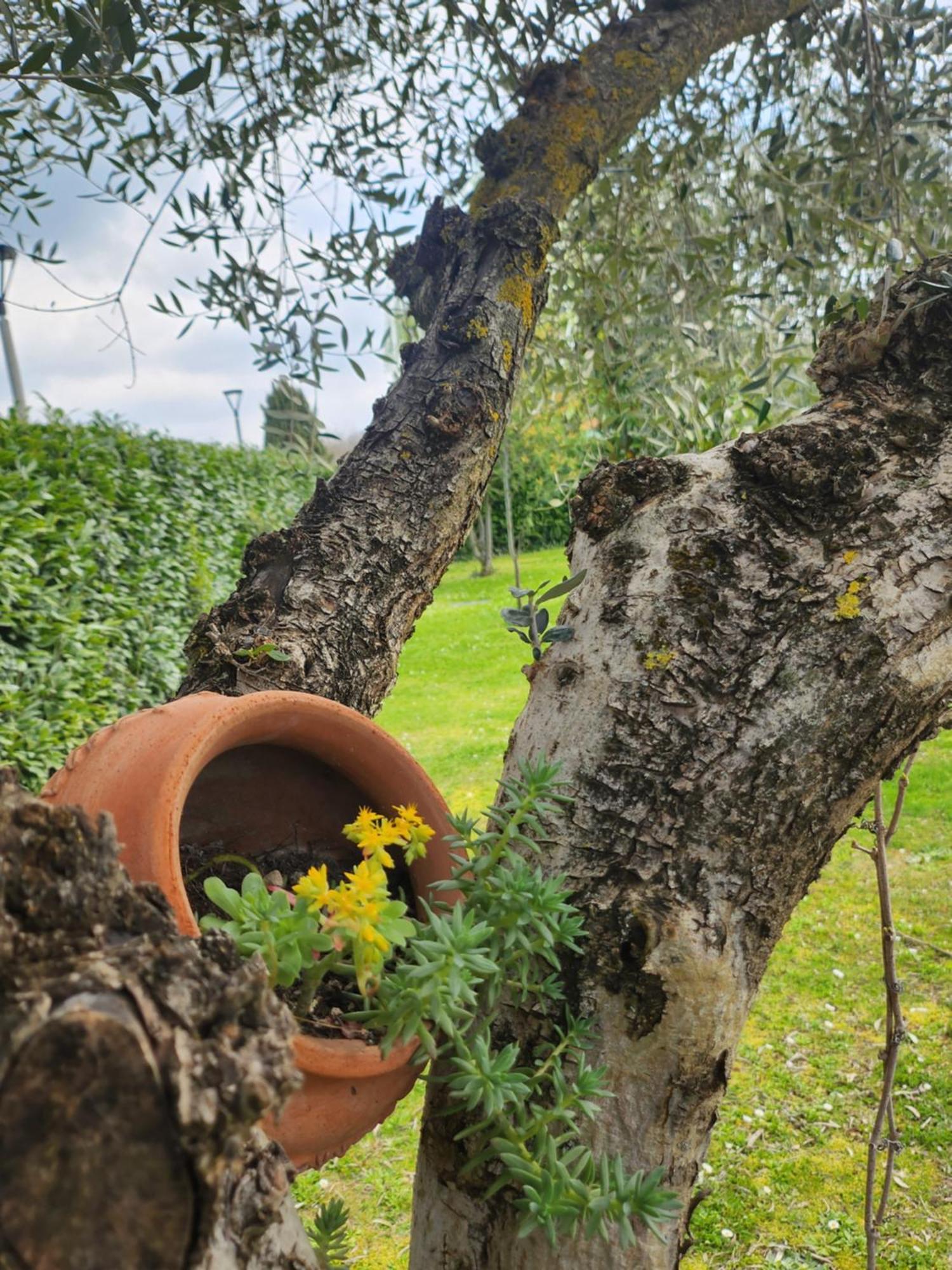 B&B Villa Sabrina Arezzo Exterior foto